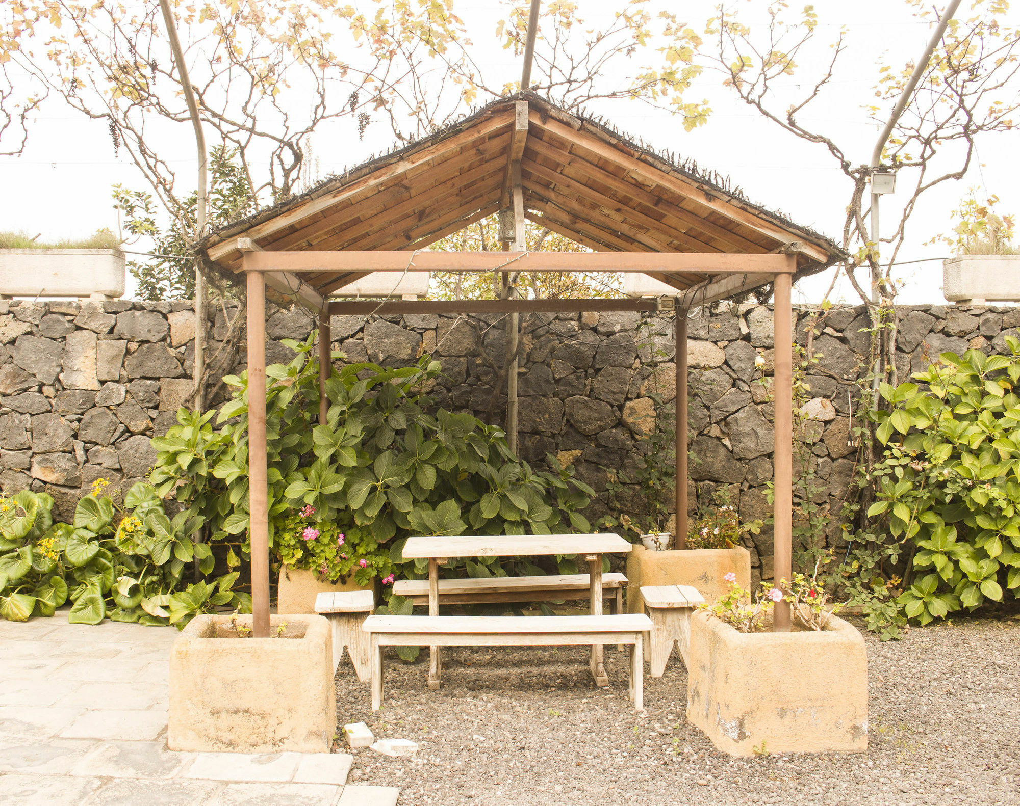 Casa Rural La Tanquera Los Realejos Exterior photo